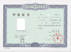大學(xué)本科自考文憑找工作好用嗎