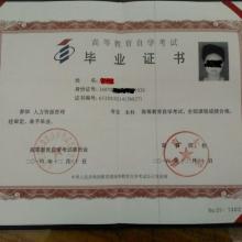 大學(xué)本科自考培訓班