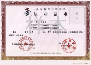自考本科和統招專(zhuān)升本同時(shí)報考