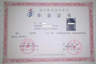 青大自考本科分數