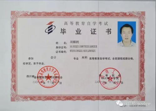 大專(zhuān)報自考和本科報自考
