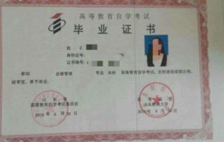 本科自考的學(xué)校有哪些
