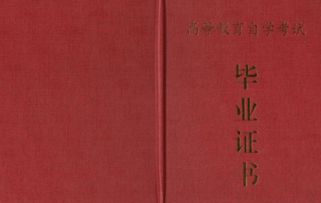 自考本科想拿學(xué)位英語(yǔ)要過(guò)幾級