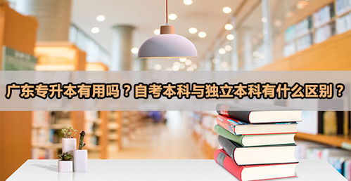 自考本科與轉本的區別