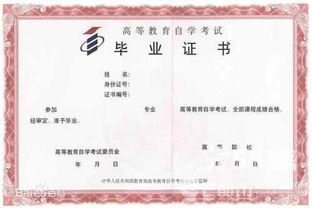 自考本科分數高嗎