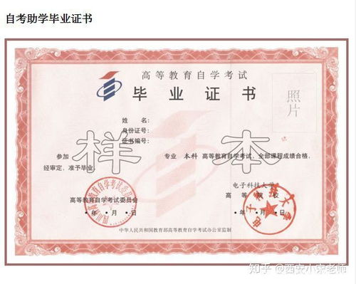 全日制大專(zhuān)自考本科后
