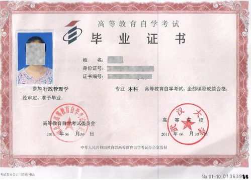 想上自考本科