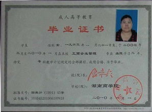 自考本科到底行不行