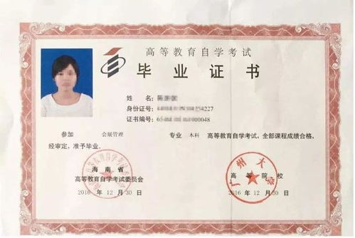 廣州大學(xué)自考本科有哪些專(zhuān)業(yè)目錄