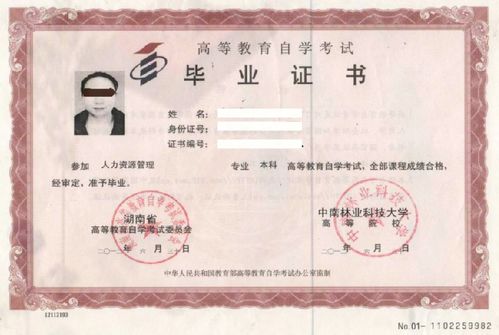 函授和自考本科的費用