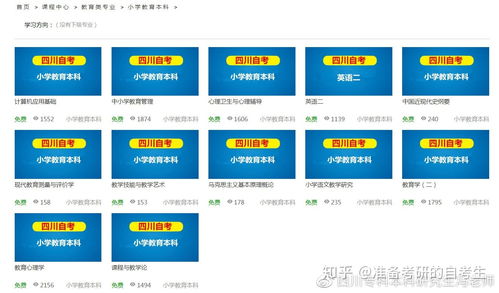 小學(xué)教育自考本科學(xué)習技巧