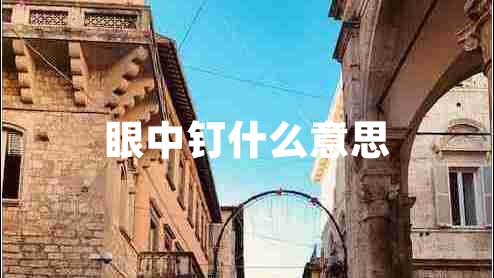眼中釘什么意思
