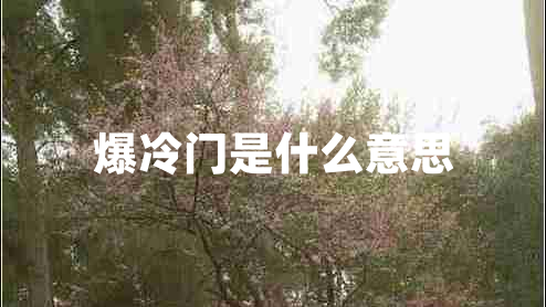 爆冷門(mén)是什么意思