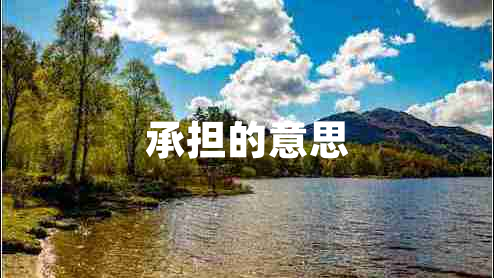 承擔的意思