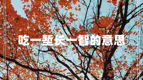 吃一塹長(cháng)一智的意思