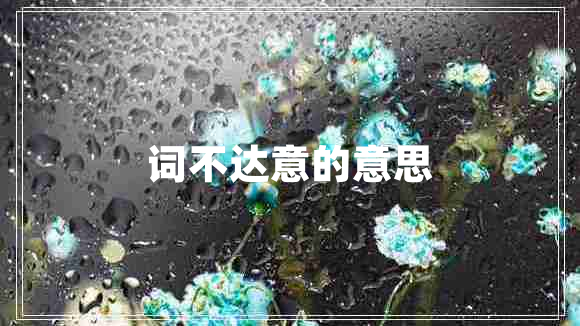 詞不達意的意思