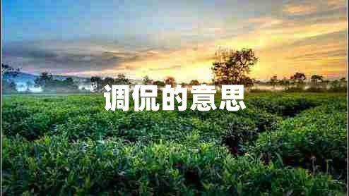 調侃的意思