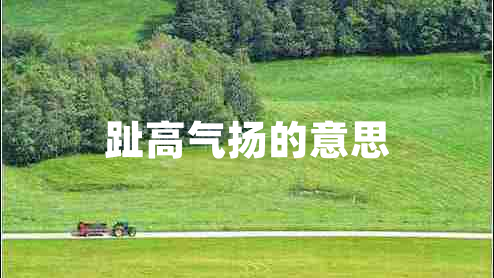 趾高氣揚的意思