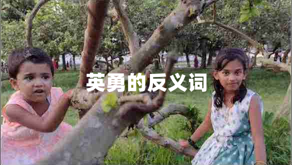 英勇的反義詞