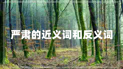 嚴肅的近義詞和反義詞