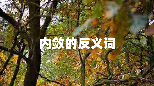 內斂的反義詞