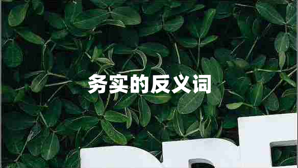 務(wù)實(shí)的反義詞