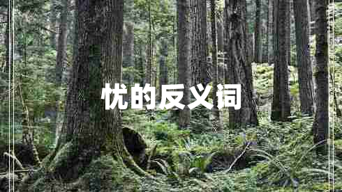 憂(yōu)的反義詞