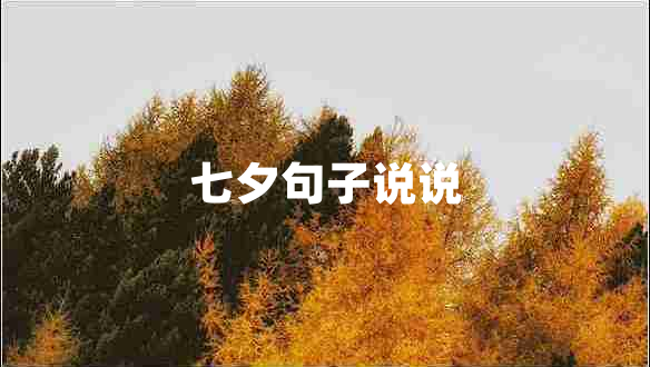七夕句子說(shuō)說(shuō)