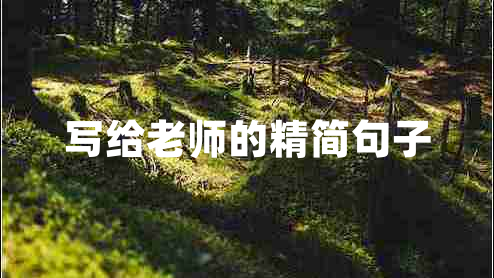 寫(xiě)給老師的精簡(jiǎn)句子