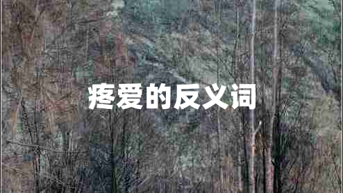疼愛(ài)的反義詞
