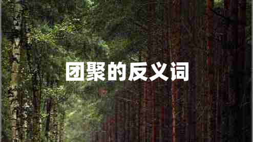 團聚的反義詞