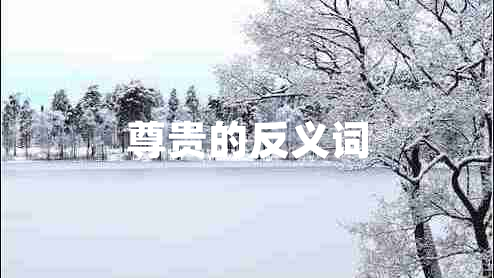 尊貴的反義詞