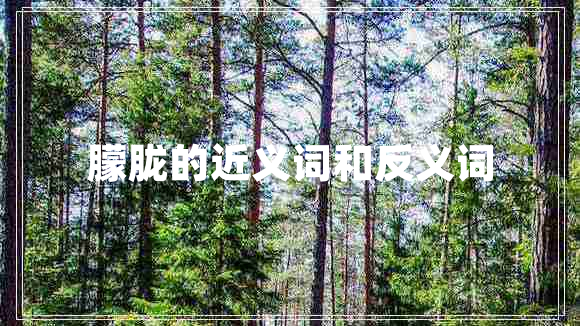 朦朧的近義詞和反義詞