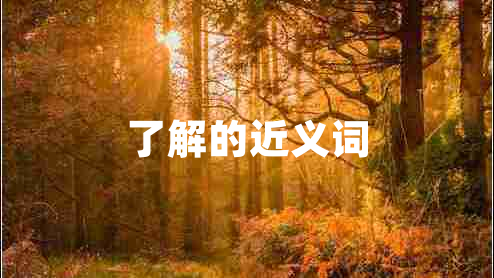 了解的近義詞
