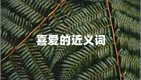 喜愛(ài)的近義詞