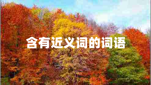 含有近義詞的詞語(yǔ)