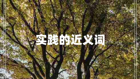 實(shí)踐的近義詞