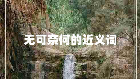 無(wú)可奈何的近義詞