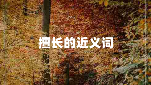 擅長(zhǎng)的近義詞