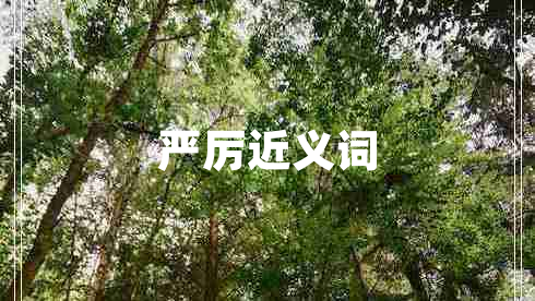 嚴厲近義詞