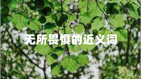 無所畏懼的近義詞