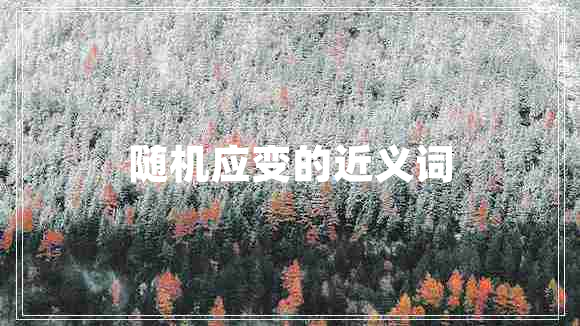 隨機應(yīng)變的近義詞