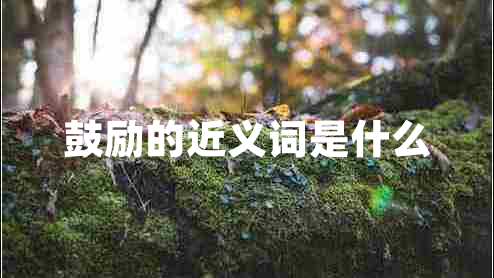 鼓勵的近義詞是什么