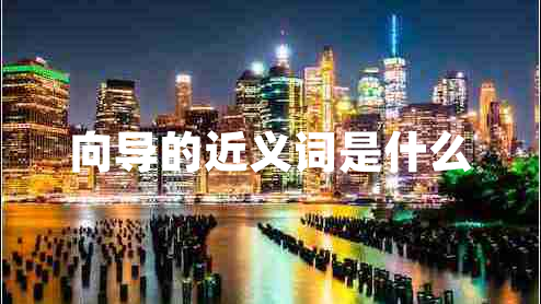 向導的近義詞是什么