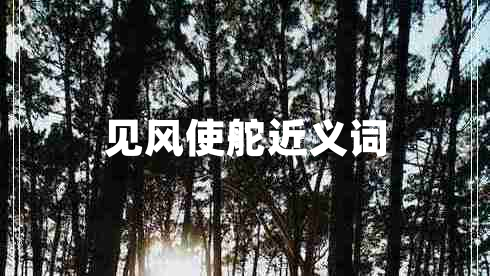 見風(fēng)使舵近義詞