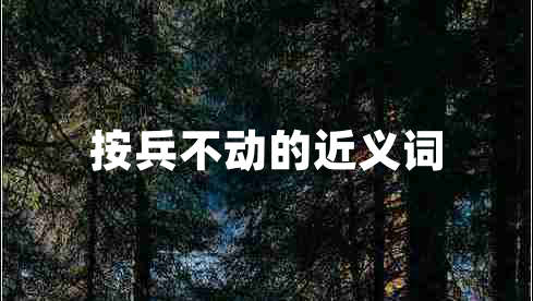 按兵不動(dòng)的近義詞