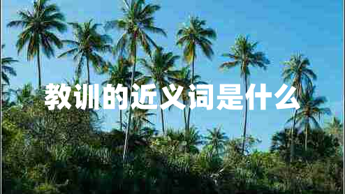教訓的近義詞是什么