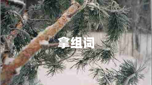 拿組詞