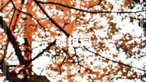 疑組詞