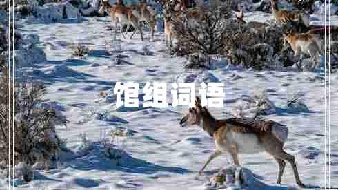館組詞語(yǔ)